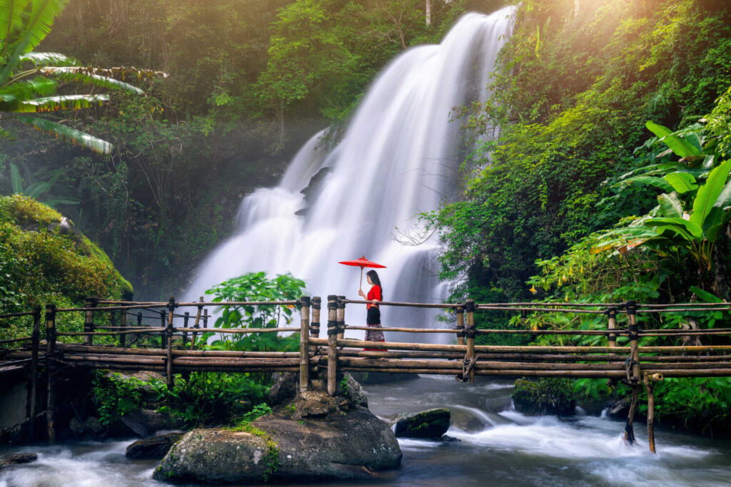 nature-resort-in-wayanad (1)