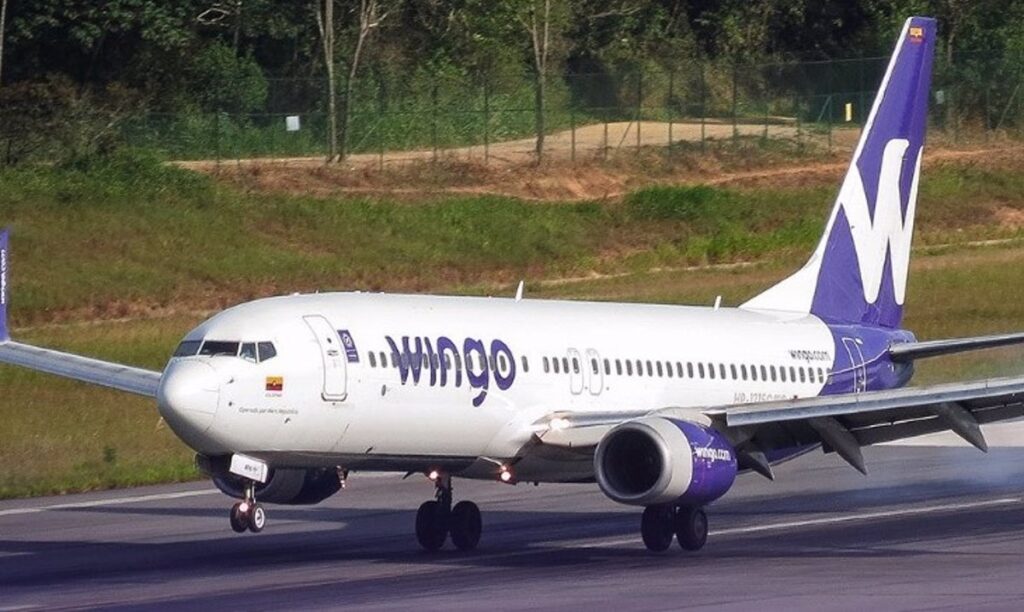 wingo