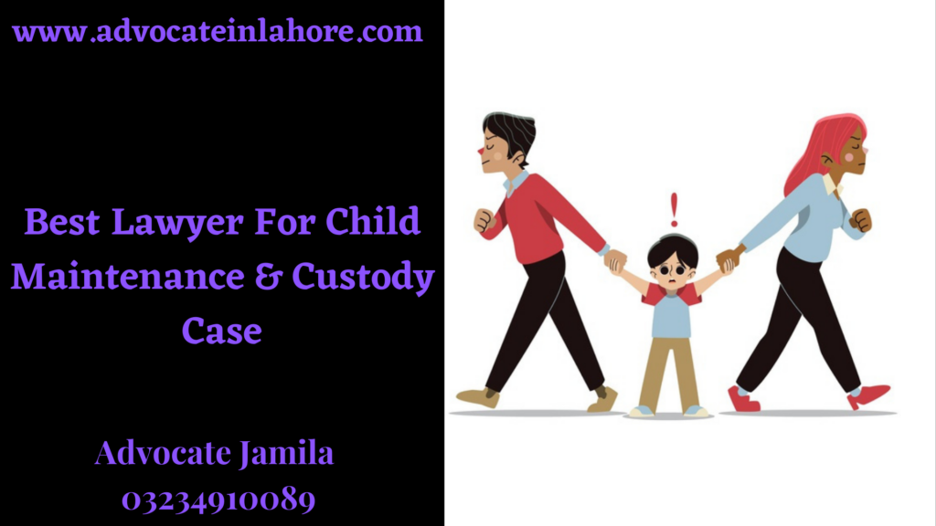 Child Maintenance & Custody Case