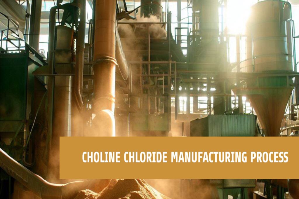 Choline Chloride