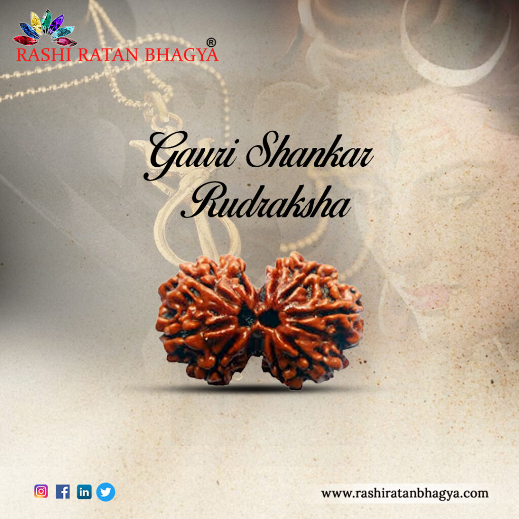 Gauri Shankar Rudraksha (2)  cbvcb