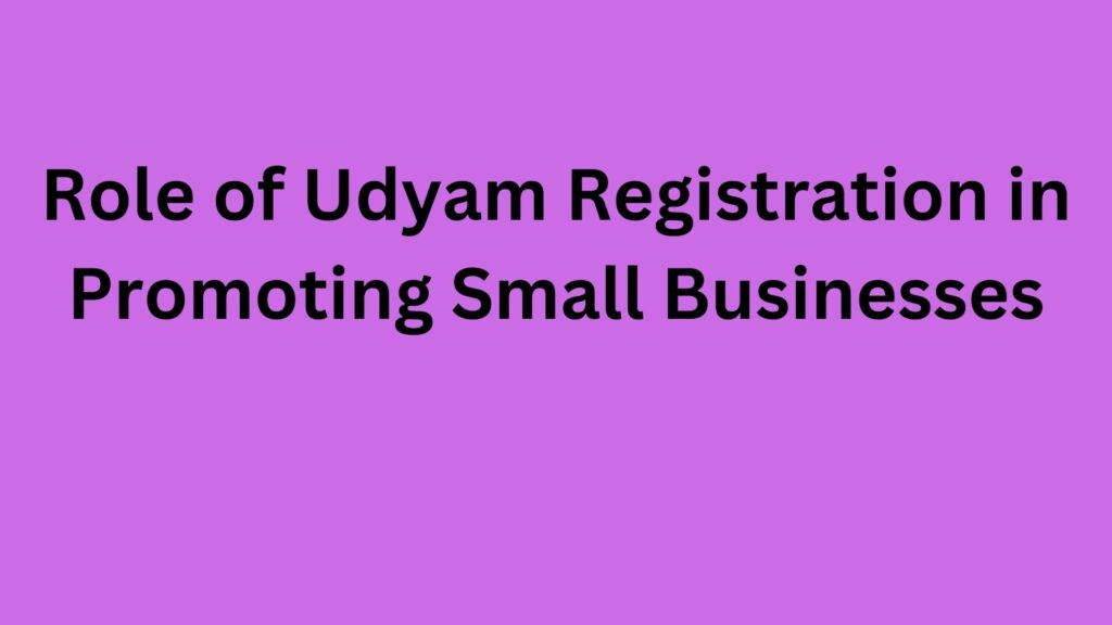 Role of Udyam Registration in Promoting Small Businesses