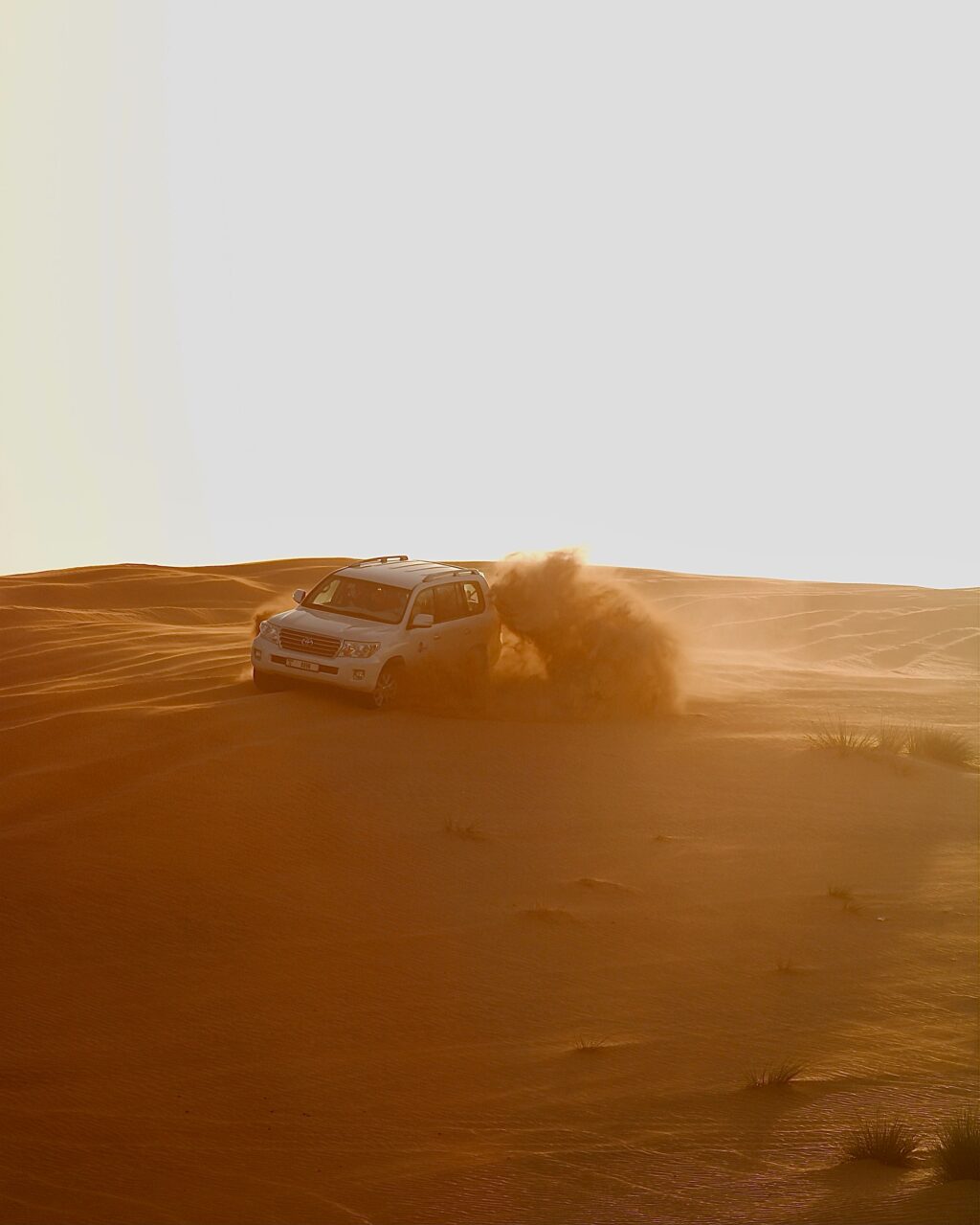 kenza-benaouda-B0JYokgJAPw-unsplash