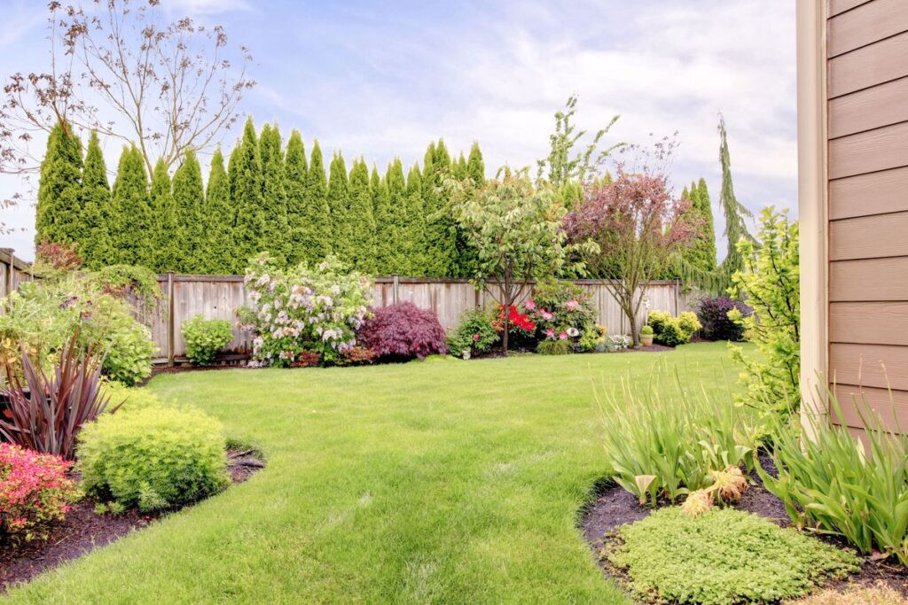 landscaping lawn care
