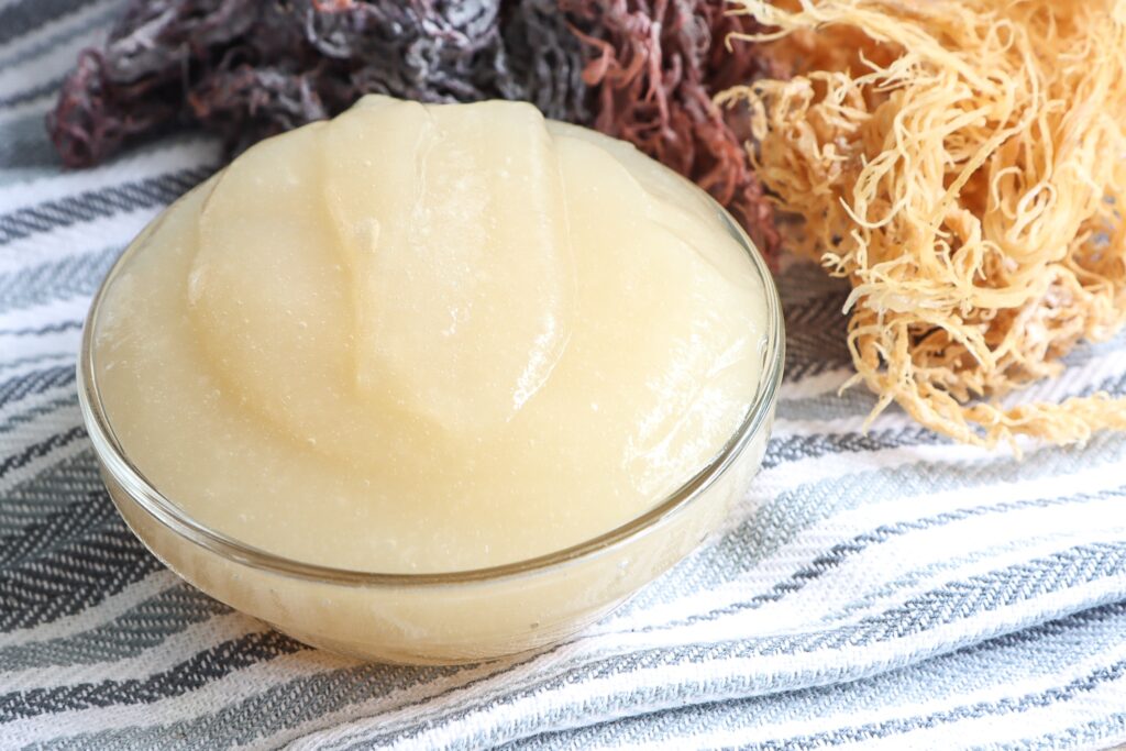 sea-moss-gel-recipe