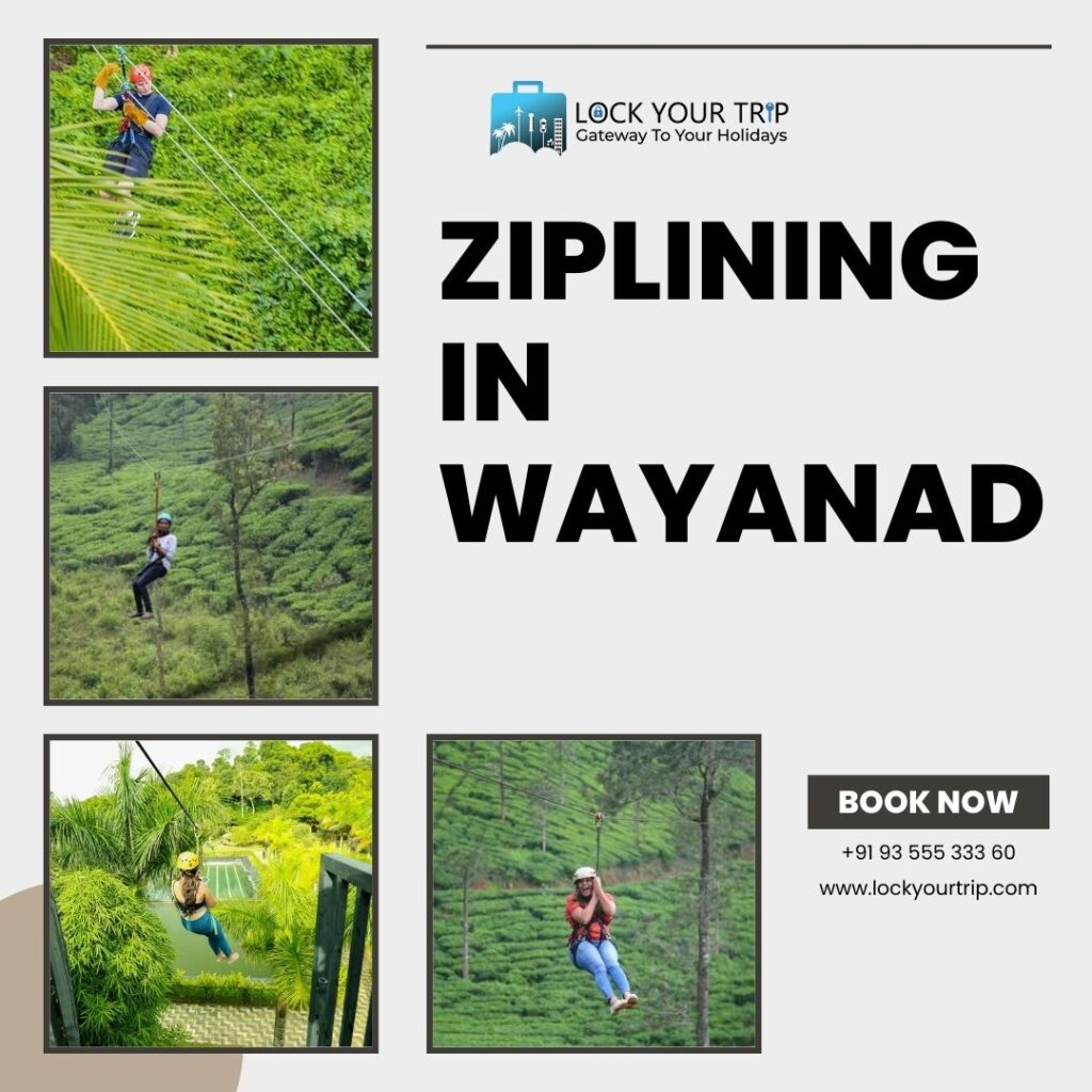 ziplining in wayanad2