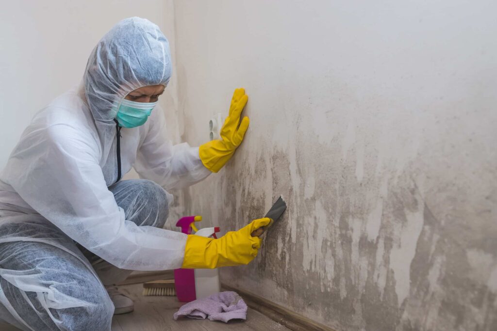 Mold Inspection & Testing Houston Tx