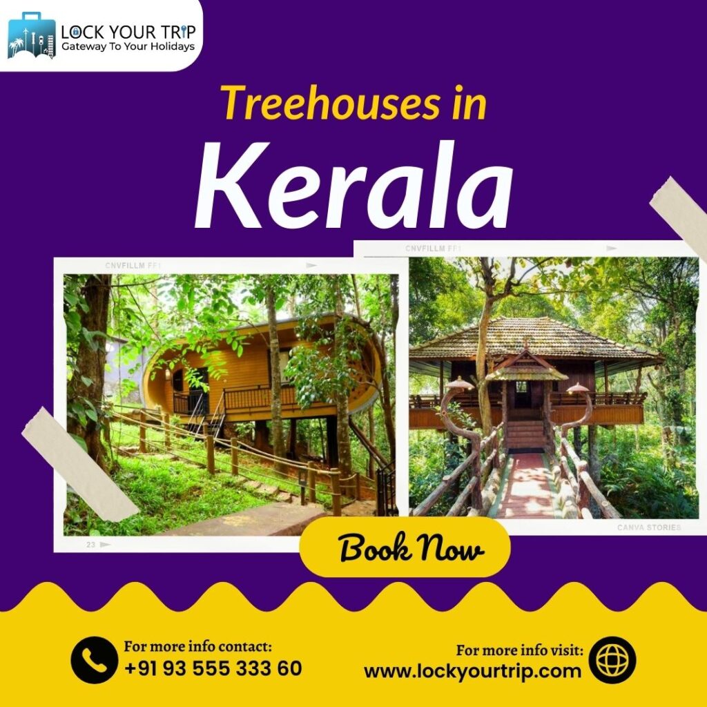 Tree Houses in Kerala