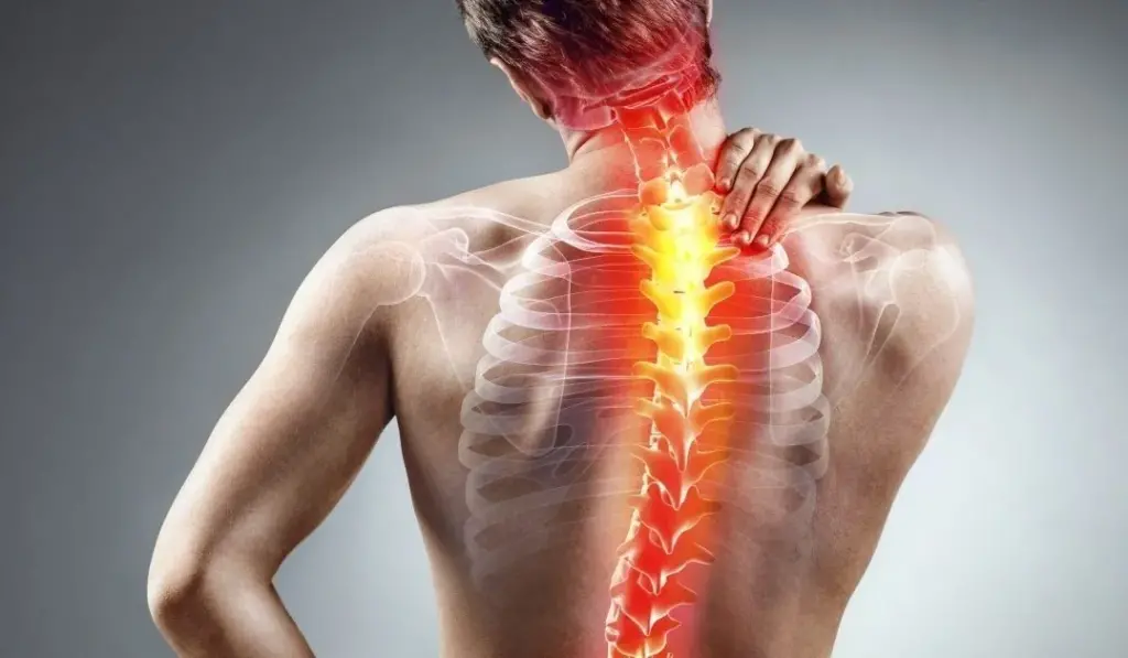back pain 6666