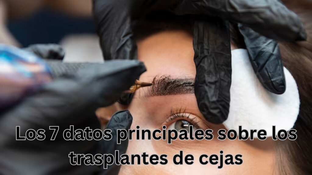 trasplante de cejas